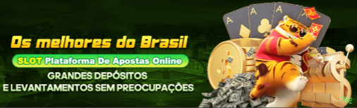 Suporte Login